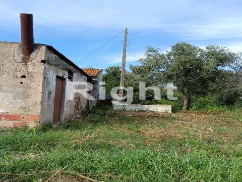 Land in Santarém