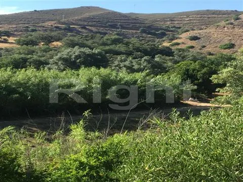 Rustic land in Alcoutim