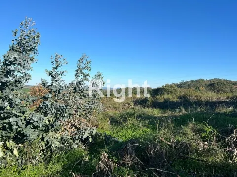 Oportunidade de investimento