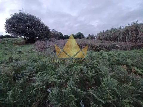 10721m2 Land for Sale in Batalha