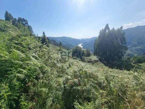 Real Estate building