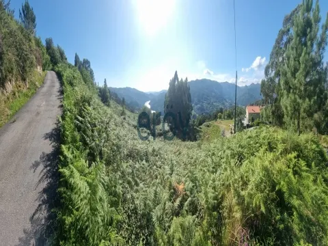 Real Estate building