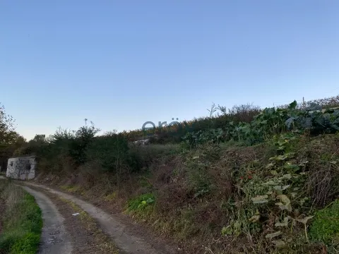 Piece of Real Estate