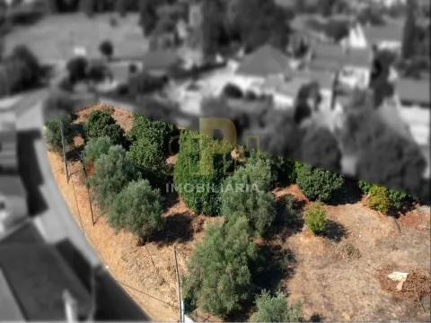 Piece of Real Estate