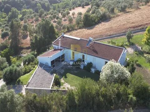 Quinta T5