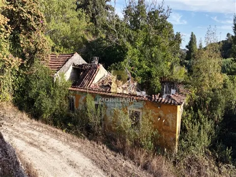 Quinta T4