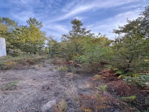 Terreno per Costruzione