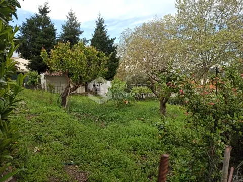 Terreno para construção no Tortosendo