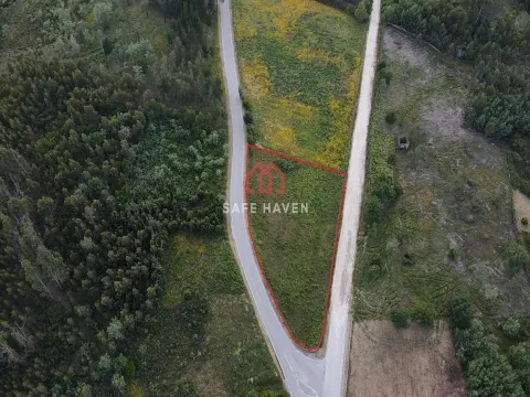 Городской участок