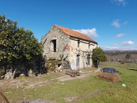 Quintinha T0, Viseu, Mangualde