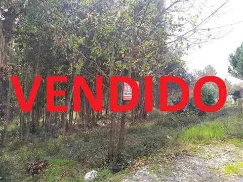 Terreno per Costruzione