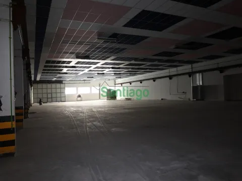 Magazzino
