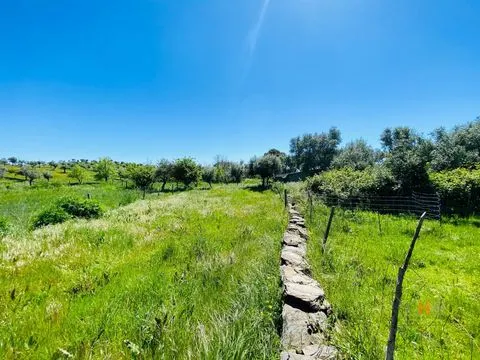 Land 15 minutes from Castelo Branco