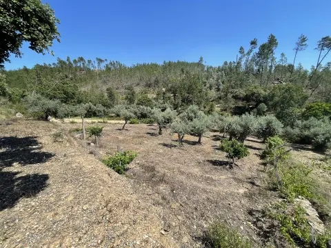 Landgrundstück