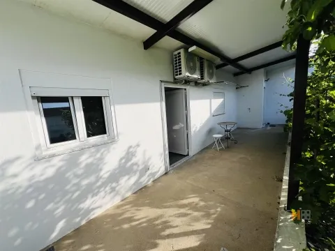 Wohnung 1 Schlafzimmer