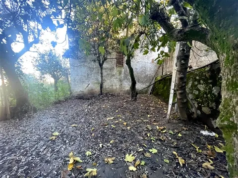 Terrain urbain