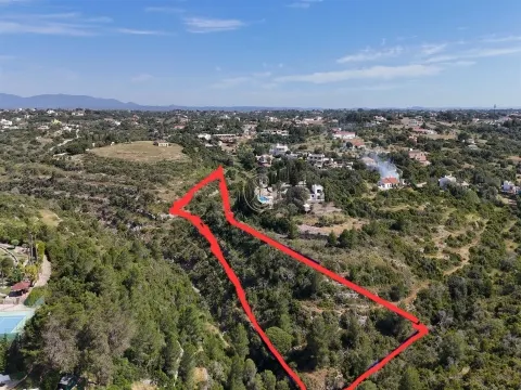 EXCLUSIVO, Terreno Rústico, Vale D´El Rei -Lagoa