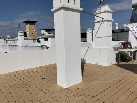 Appartement 3 Chambre(s)+1