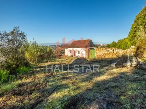 Quinta T3 em Remodelação / Terreno com 9.323m2 / Boa Vista