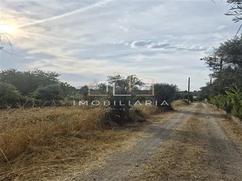 Terreno com viabilidade de construção na Vila de Santar