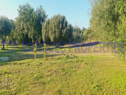 Terreno com Ruína com projecto de Construção