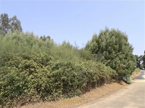 Terreno Para Construção