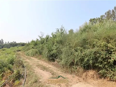 Terreno Para Construção