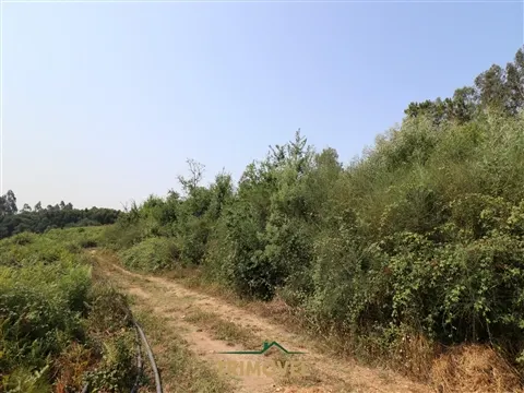 Terreno Para Construção
