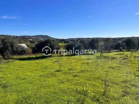 Urban land with PIP approved for a villa in Loulé