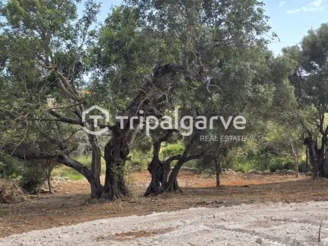 Rustic plot with sea views in Boliqueime