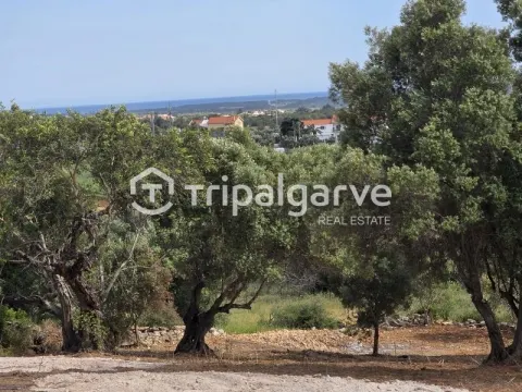 Rustic plot with sea views in Boliqueime