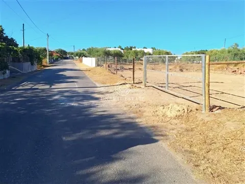 Terrain rural