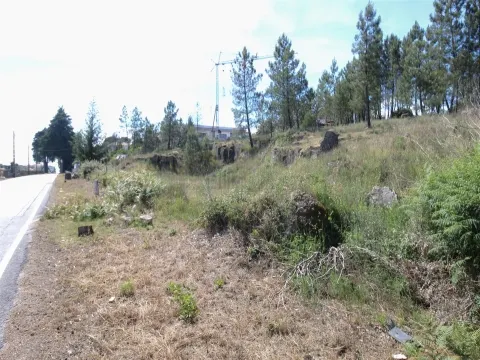Terreno para Construção - Mangualde