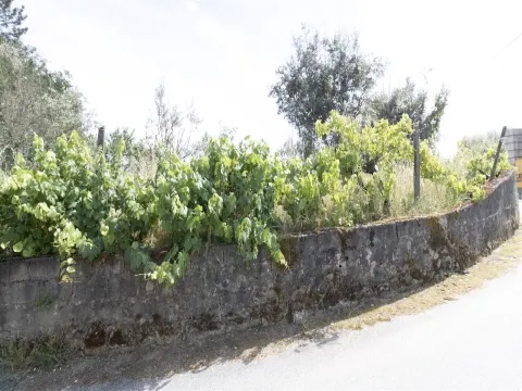 Terreno para Construção - Santos Evos