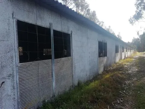 Armazém/ Aviário / Carnide