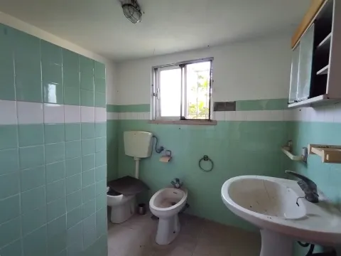 Armazém / Carnide / Pombal