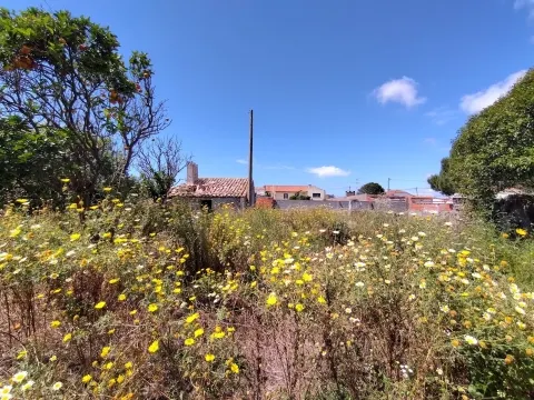 Moradia / Terreno / Vieira de Leiria / Marinha Grande