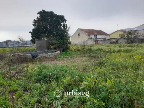 img_24