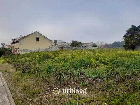 img_1