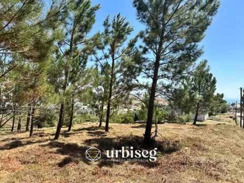 Terreno Rústico – Rua da Emide, Figueira da Foz