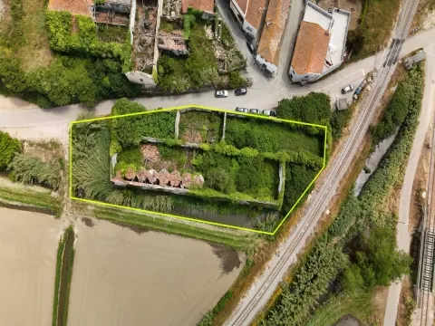 Casa de Adega e Alambique para Reconstrução – Entre Soure e Figueira da Foz