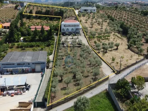 Fattoria / Cascina / Casale 8 Vani