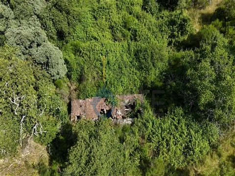 Rustico Terreno