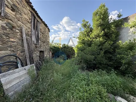img_1