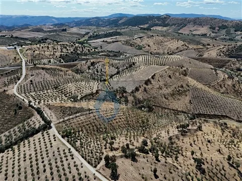 Landgrundstück