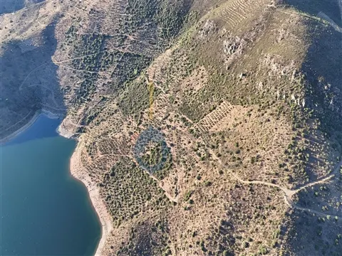 Landgrundstück