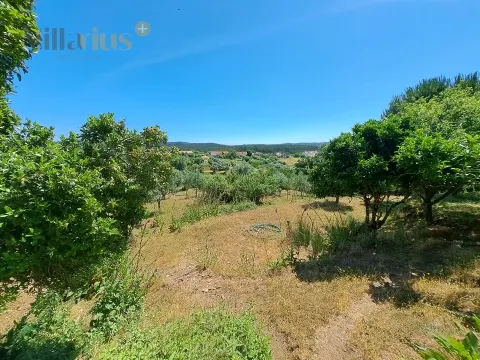 Urban Land with Views and Quick Access to Tomar &#124; Villarius Real Estate