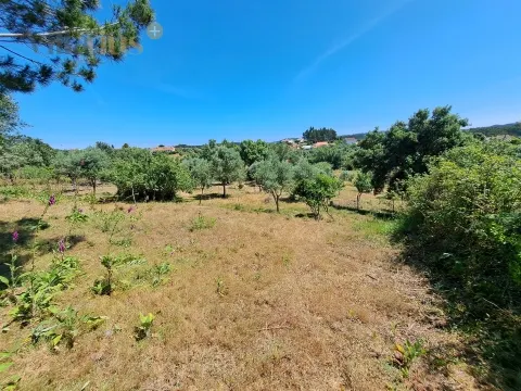 Urban Land with Views and Quick Access to Tomar &#124; Villarius Real Estate