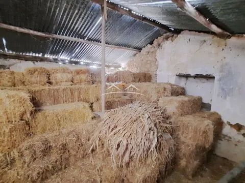 Vivienda 3 habitaciones