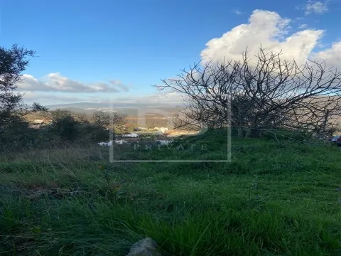 Terreno Urbano